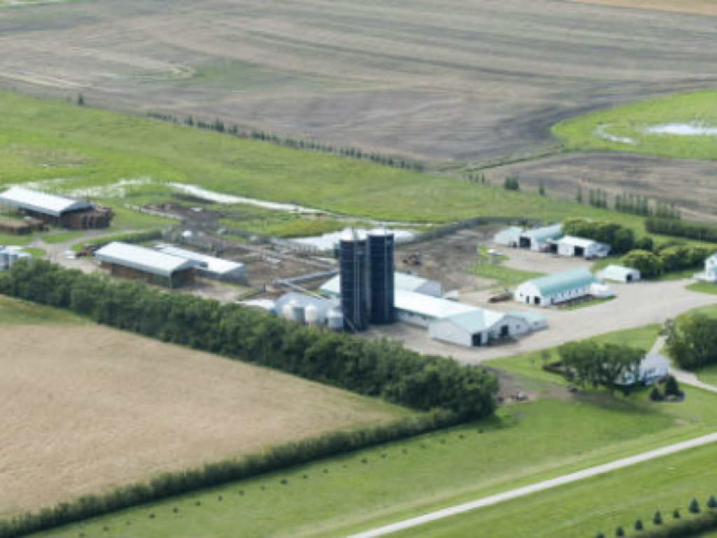 Dairy Farms for Sale Royal LePage Riverbend Realty Farm Division