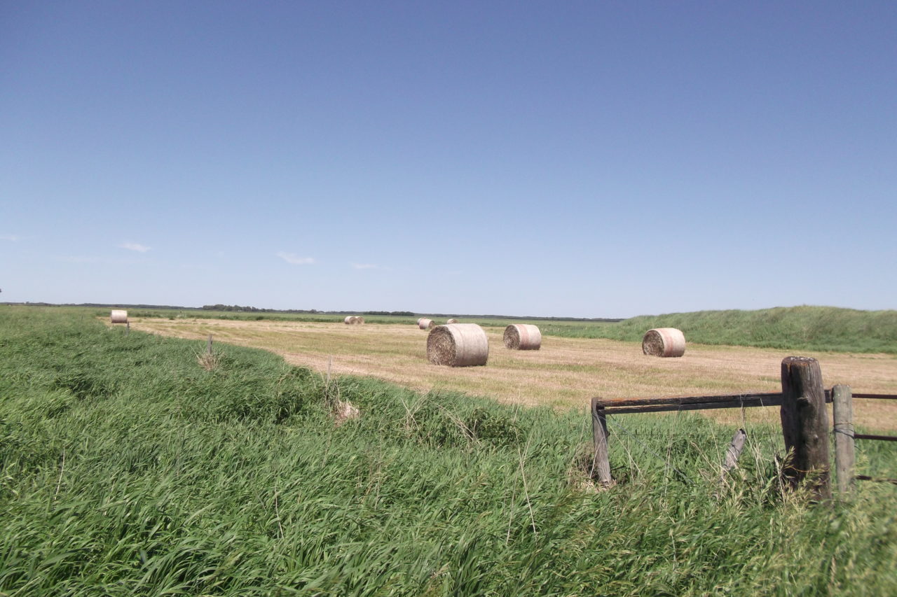 Grain Farms for Sale Royal LePage Riverbend Realty Farm Division