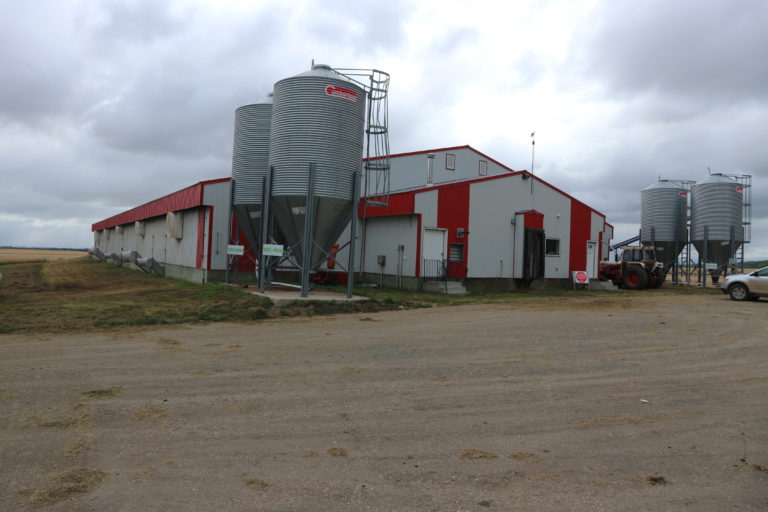 Hog Farms for Sale Royal LePage Riverbend Realty Farm Division