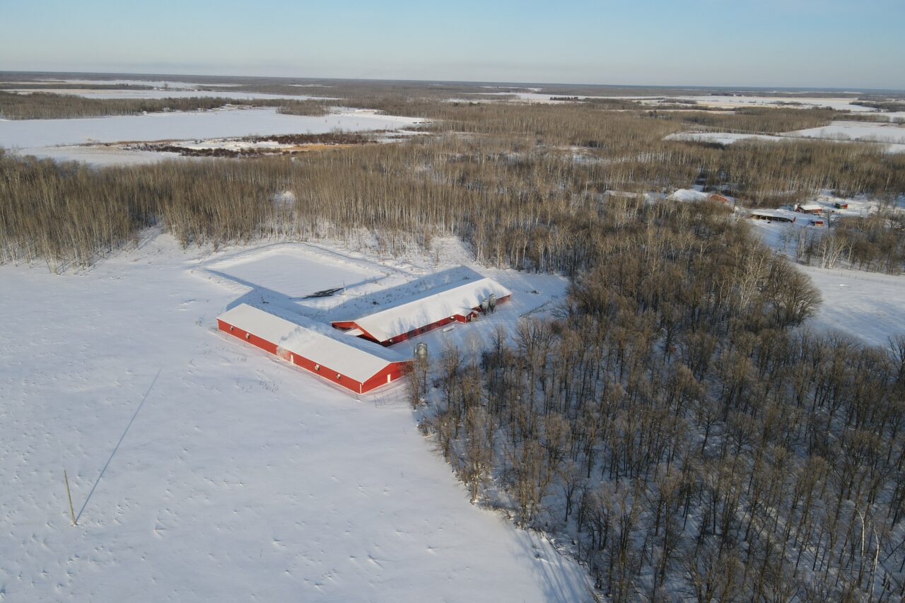 Hog Farm Grunthal, Manitoba 15857 Royal LePage Riverbend Realty