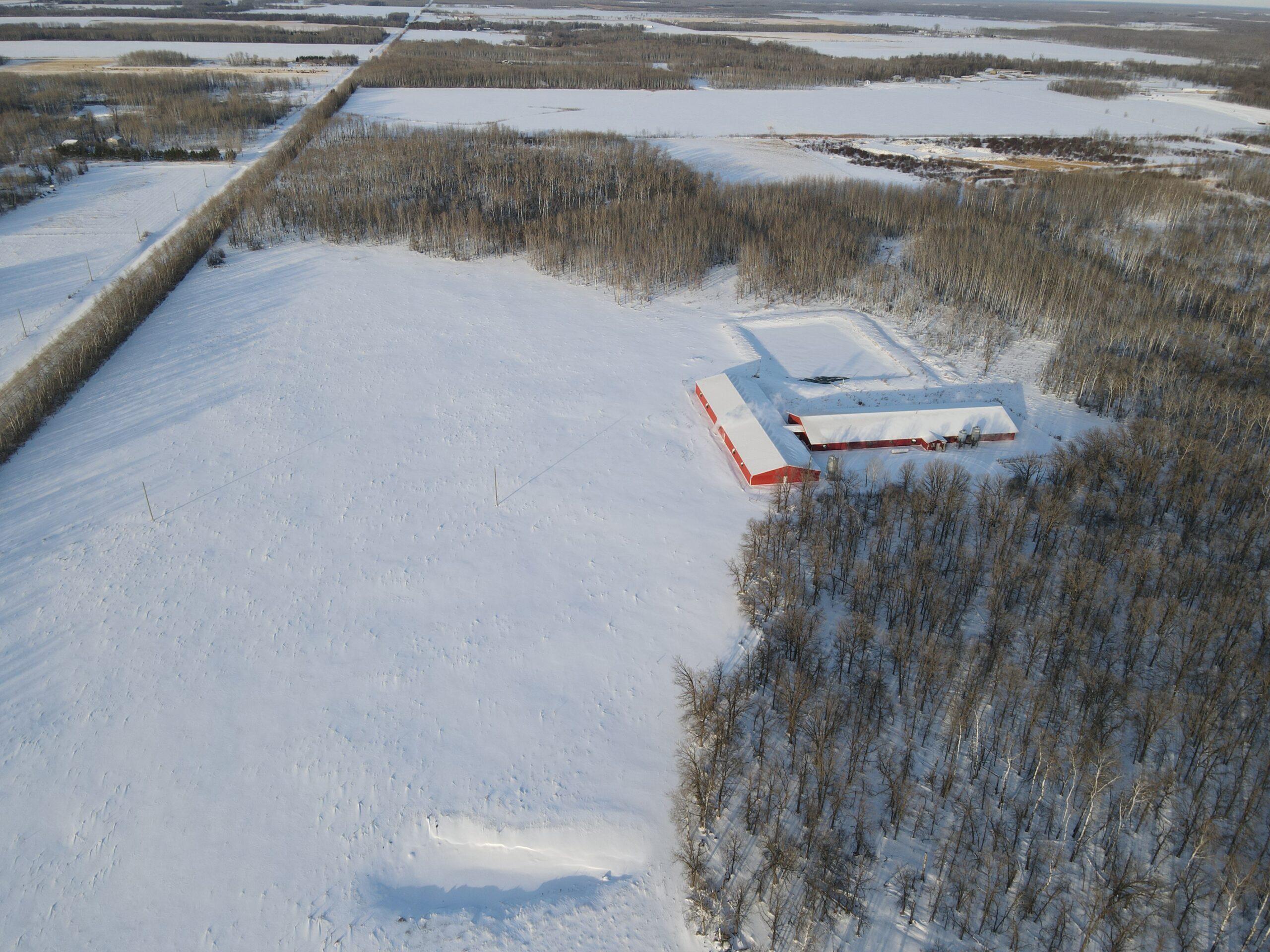 Hog Farm Grunthal, Manitoba 15857 Royal LePage Riverbend Realty