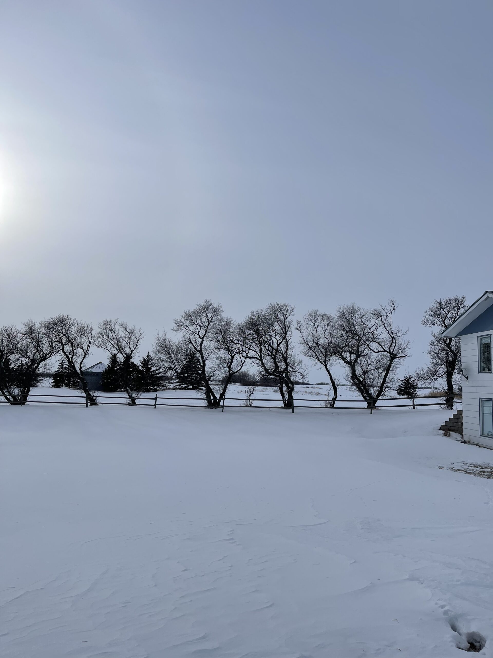 Hobby Farm Reston, Manitoba 16270 Royal LePage Riverbend Realty