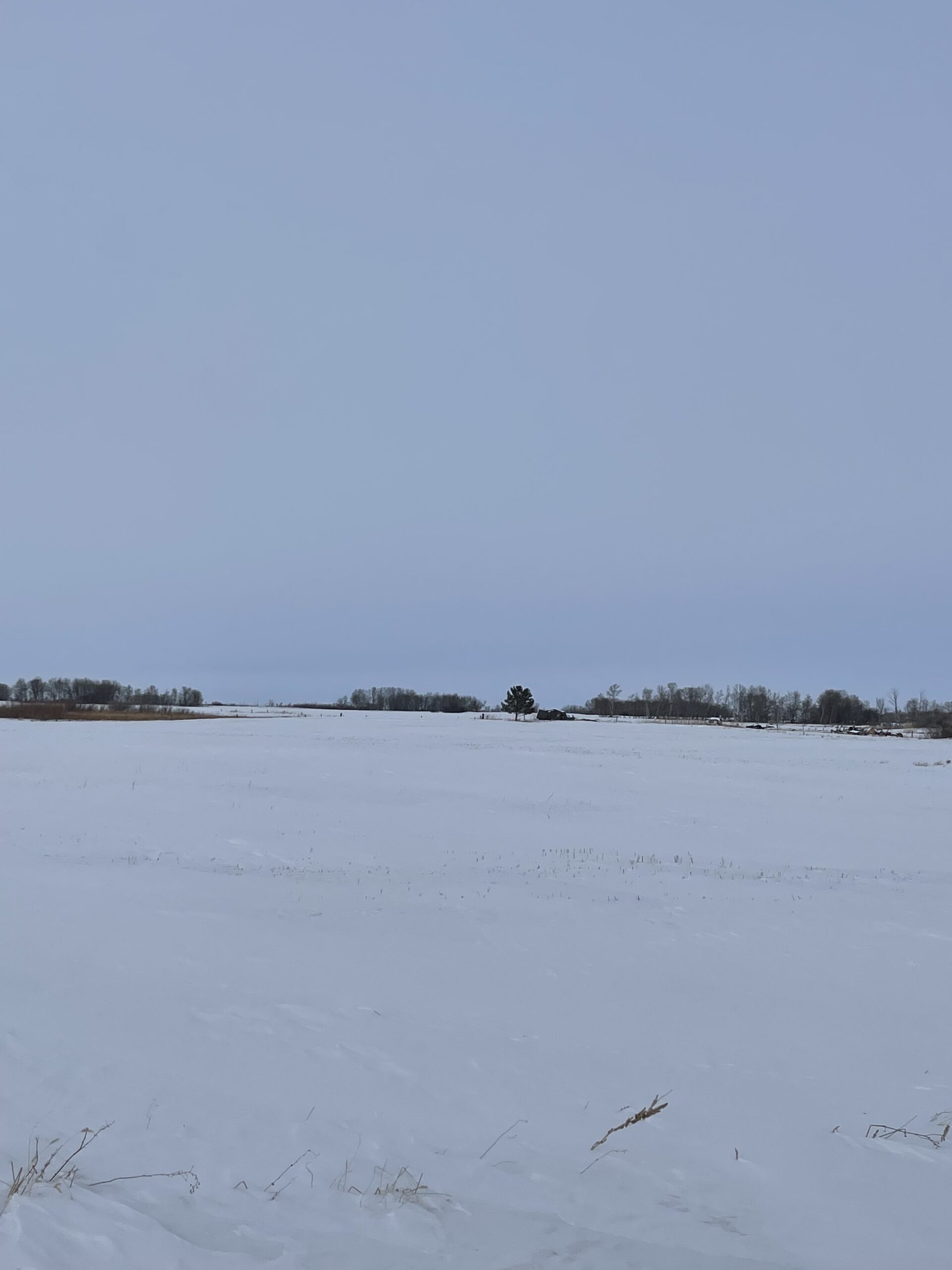 Hobby Farm Reston, Manitoba 16270 Royal LePage Riverbend Realty